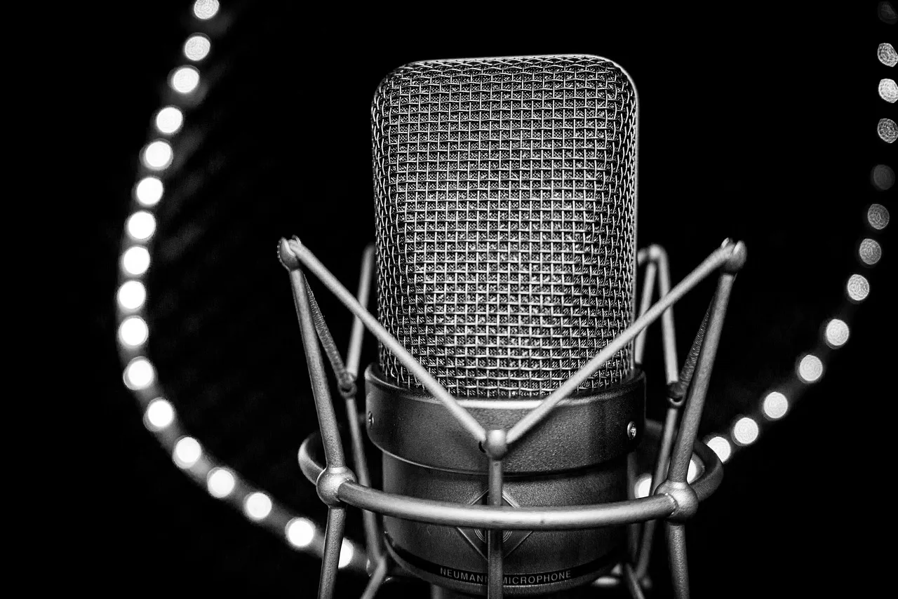 microphone, mic, audio, sound, recording, neumann, sound studio, studio, voice, singing, music studio, lichterkette, mic, neumann, neumann, neumann, neumann, neumann, studio, singing, lichterkette. Voiceover benchmarks worth checking before you trust anyone else's numbers