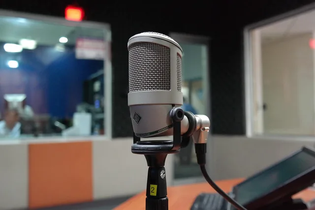 microphone, study, musi, recording studio, music, singer, microphone, microphone, recording studio, recording studio, recording studio, recording studio, recording studio. Reading voiceover studios with a sceptical eye