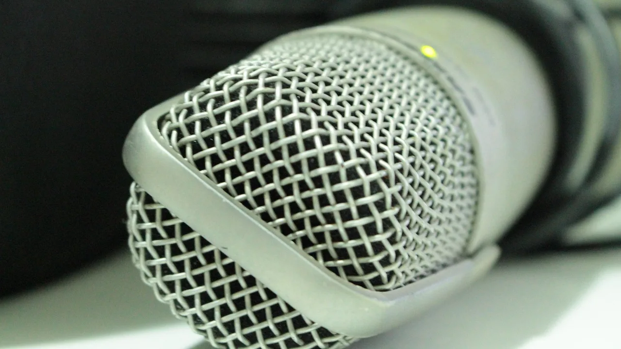 mic, recording, studio, instruments, song, equipment, radio. Which markets actually fit a growing voiceover business