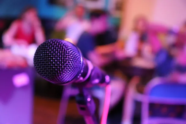 microphone, music, to sing, audio, stage, singing, concert, singer, radio, volume, rap, festival, karaoke, tape, headphones, voice, vocal, pop, studio, mic, karaoke, karaoke, karaoke, karaoke, karaoke. Filing Schedule C and quarterly estimated taxes as a US voiceover business