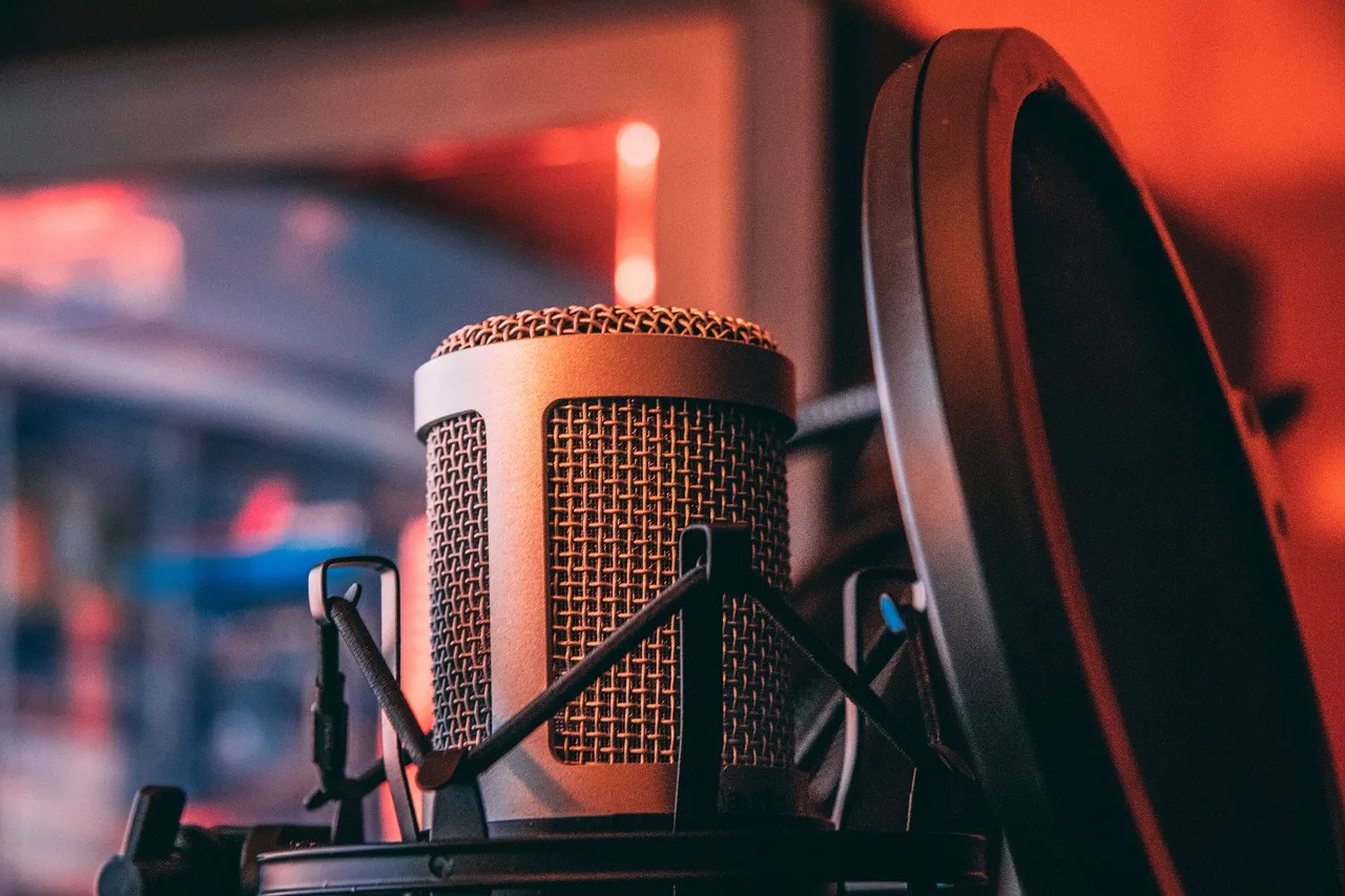 microphone, voice, sound, equipment, tool, performer, entertainment, microphone, microphone, microphone, microphone, microphone, voice, sound. Voiceover business plan: four inputs to map