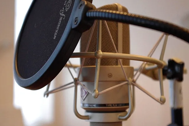 microphone, pop protection, recording, vocal microphone, records, music studio, studio, sound studio, audio technology, pop filter, moderation, sound, technology, audio, pop filter, pop filter, pop filter, pop filter, pop filter. Voiceover expansion compared with what actually happens