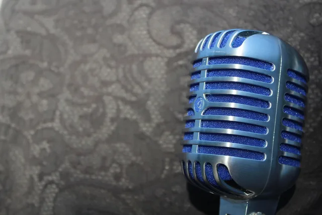 mic, microphone, equipment, vocal, retro, karaoke, professional, sound, speech, studio, record, musical, live, technology, music, entertainment, icon, sing, show, design, performance, shure s55, gray technology, gray music, gray design, gray microphone, gray retro, mic, mic, microphone, karaoke, karaoke, karaoke, karaoke, karaoke, speech. Voiceover platform and agent fees: what the cuts depend on