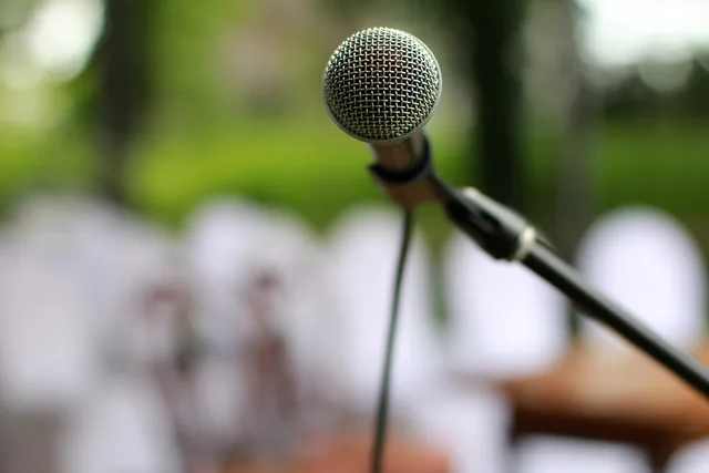 microphone, microphone stand, recording, music, audio, micro, sound. How long until a voiceover business breaks even, and at what margin