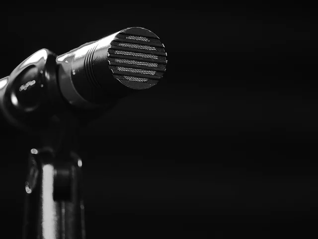 microphone, audio, music, sound, technology, black technology, black music, black microphone, microphone, microphone, microphone, microphone, microphone, black microphone. 5 details of voiceover sponsorship people miss